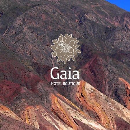 فندق تيلكارافي  Gaia المظهر الخارجي الصورة